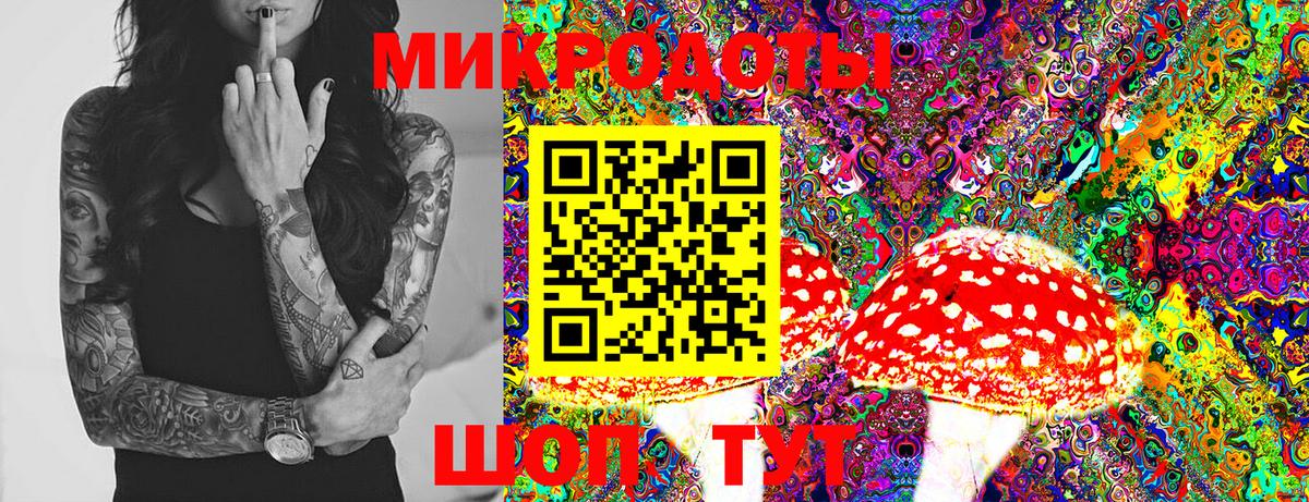 Галлюциногенные грибы Cubensis Великий Новгород