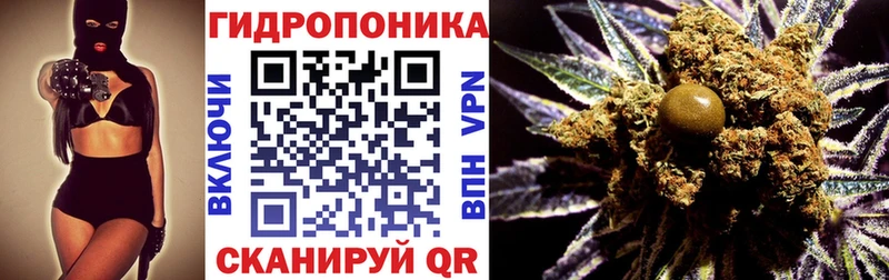 Бошки марихуана OG Kush  Великий Новгород 